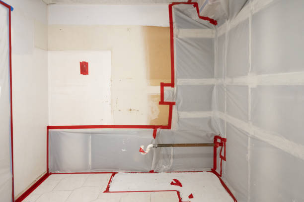 Reliable Madison, WV Mold Removal Solutions